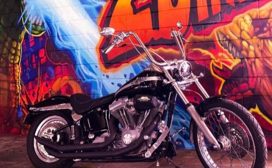 2003 Harley-Davidson 100th Anniversary softail