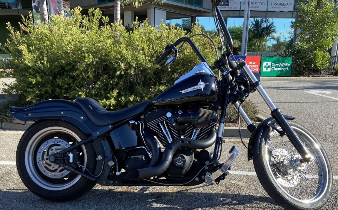 2008 Harley-Davidson Softail custom