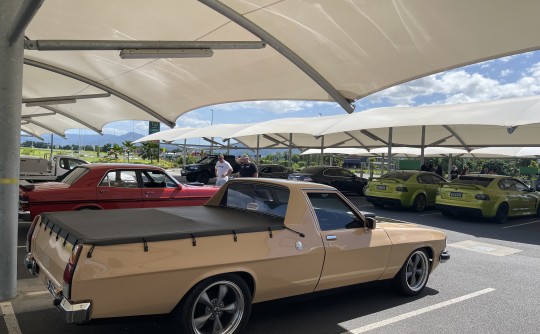 1984 Holden BELMONT