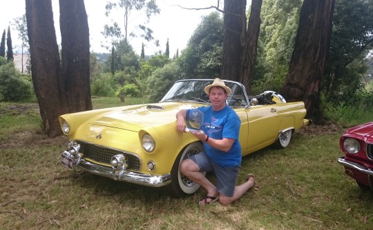 1955 Ford thunderbird