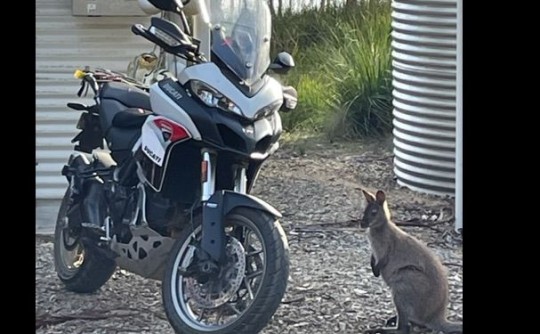 2017 Ducati Multistrada 950