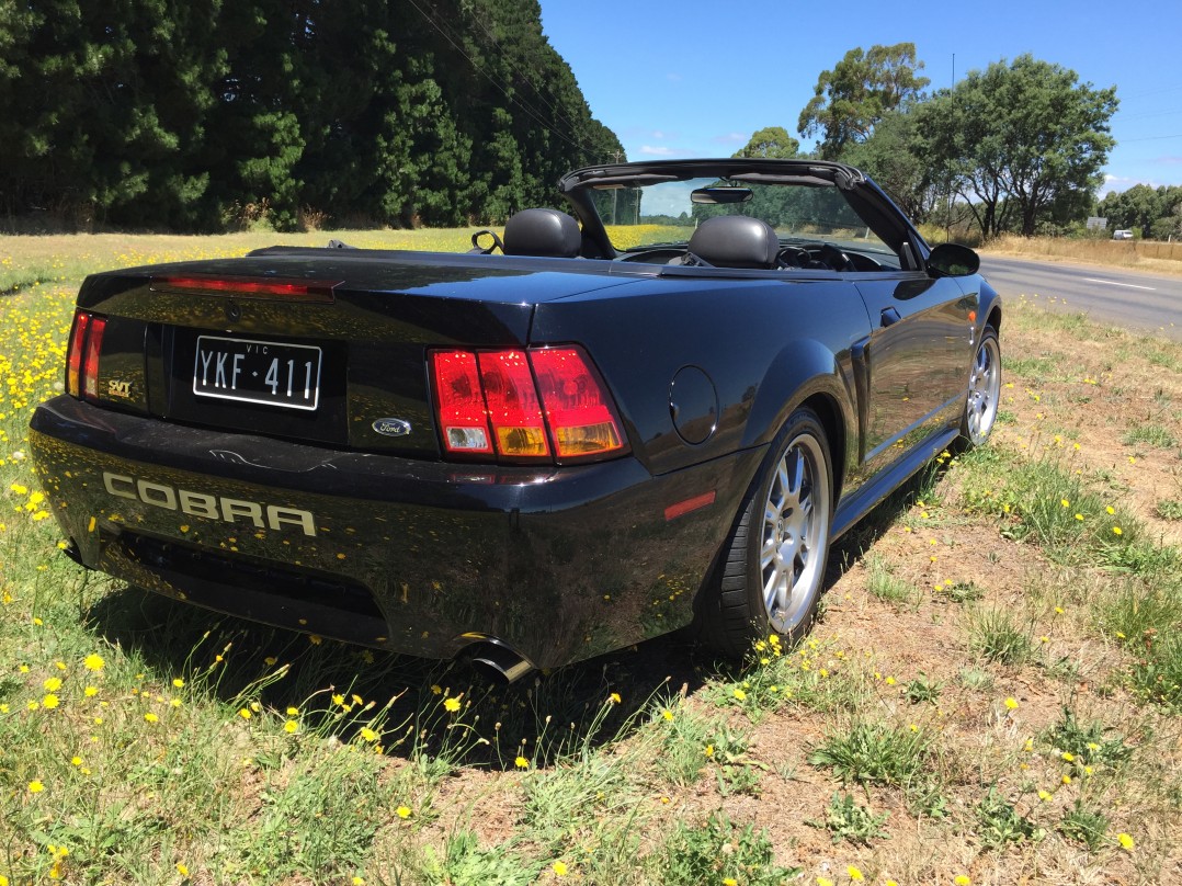 2002 Ford MUSTANG COBRA