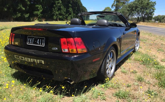 2002 Ford MUSTANG COBRA