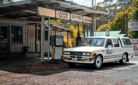 1981 Datsun 720