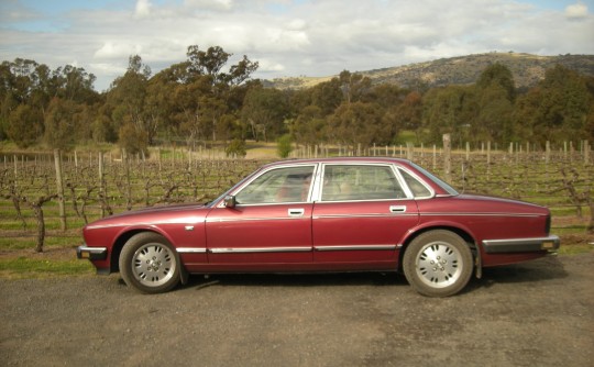 1988 Jaguar Daimler