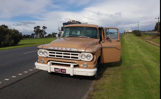 1959 Dodge D100