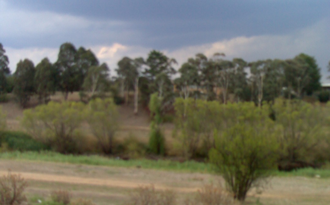 2003 Holden COMMODORE Executive Series 3