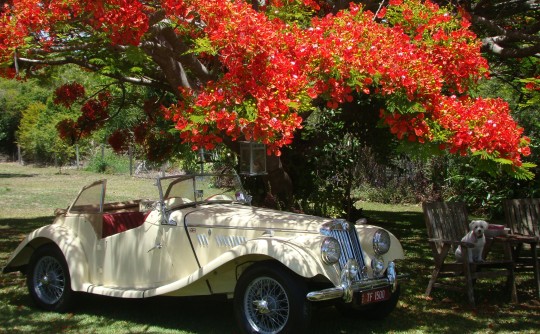 1955 MG TF 1500