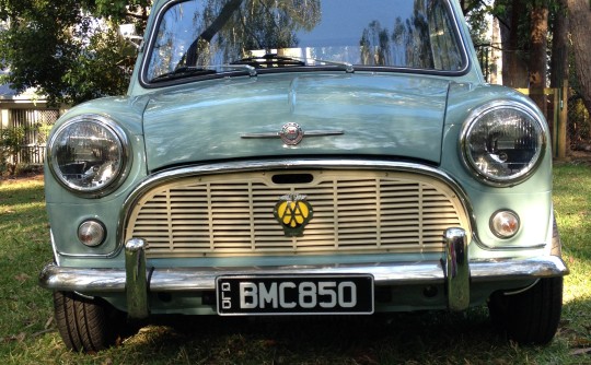 1964 Morris Mini 850