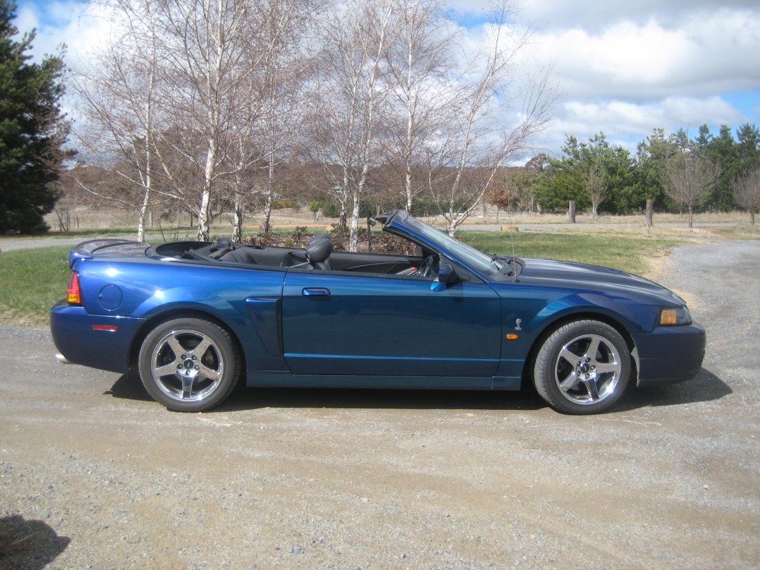 2003 Ford mustang Cobra