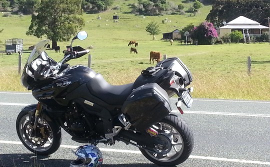 2009 Triumph Tiger