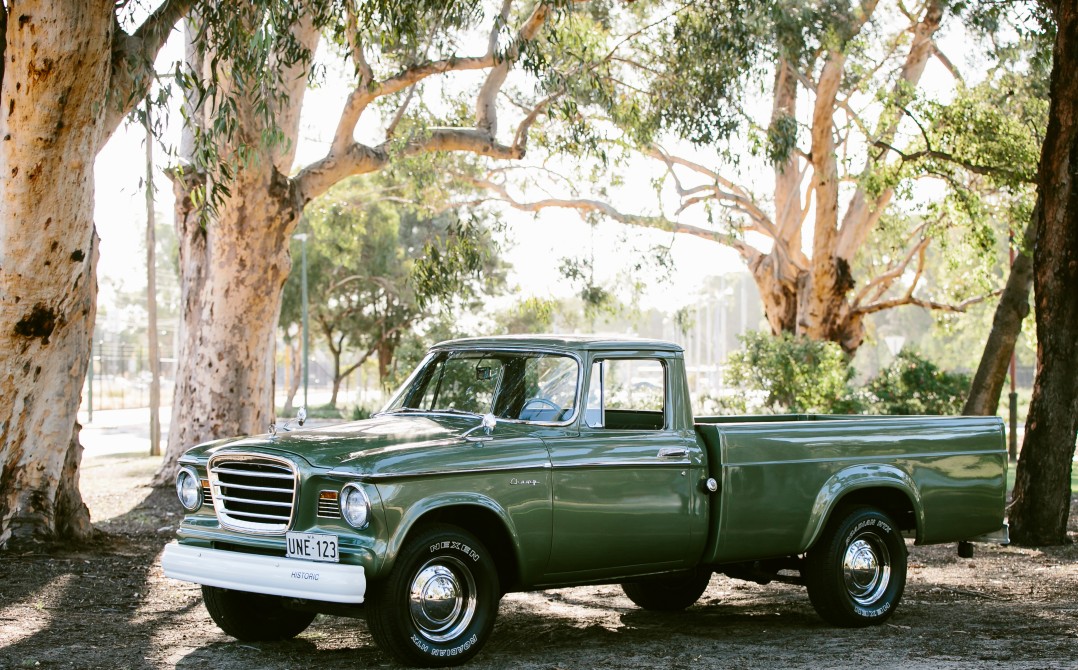 1964 studebaker champ