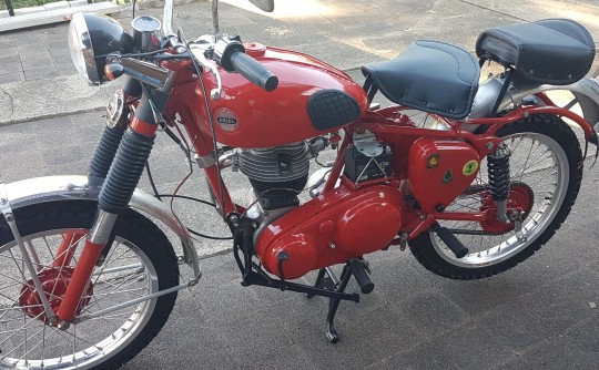 1957 Ariel Colt