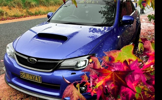 2013 Subaru IMPREZA WRX LTD ED