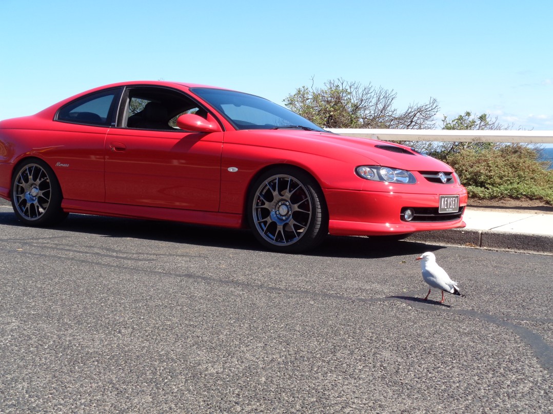 2003 Holden monaro cv8