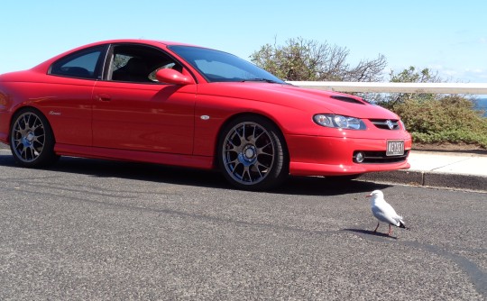 2003 Holden monaro cv8