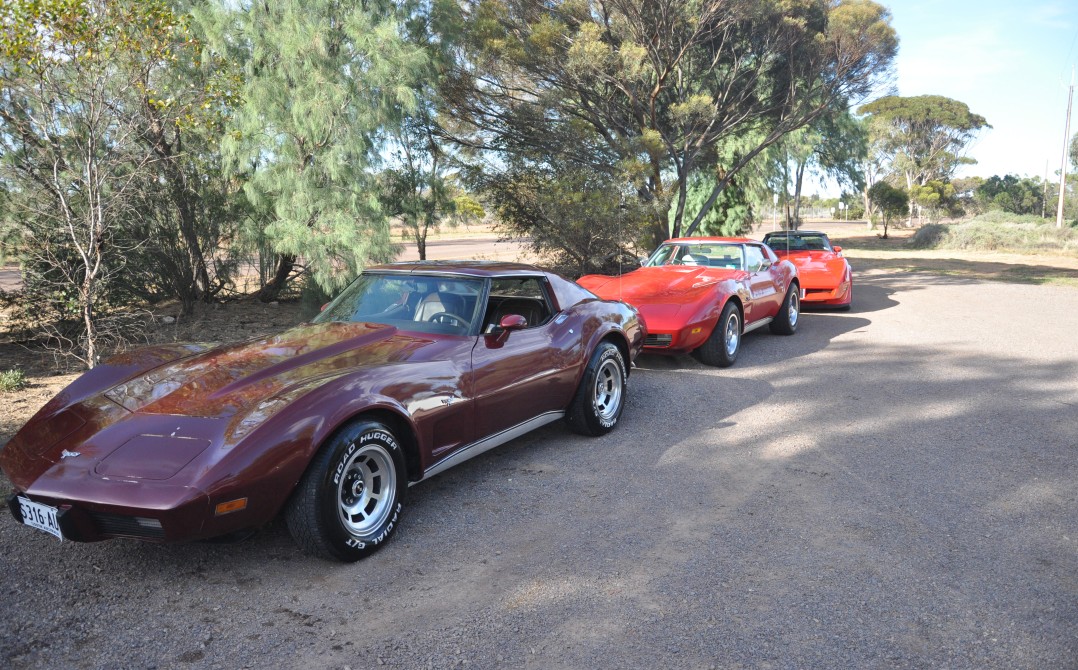 1977 Chevrolet CORVETTE