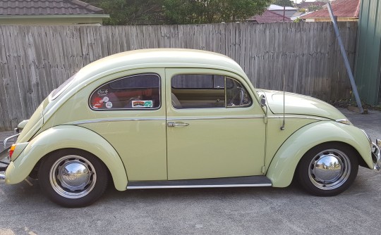 1962 Volkswagen Beetle