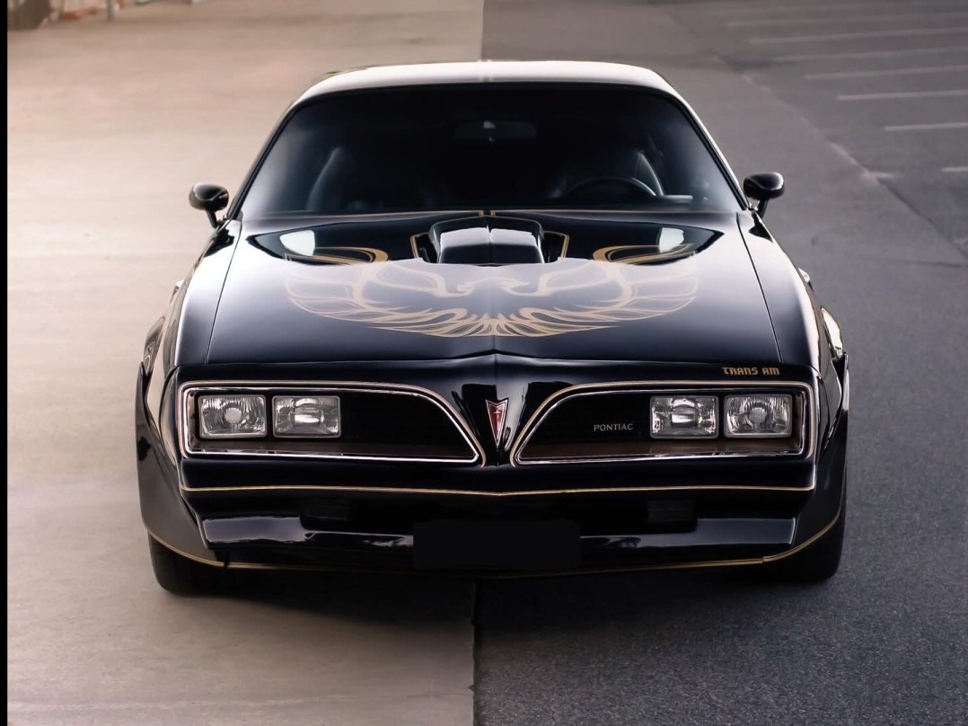 1977 Pontiac FIREBIRD TRANS AM