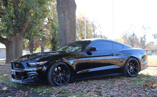 2017 Ford Performance Vehicles Mustang