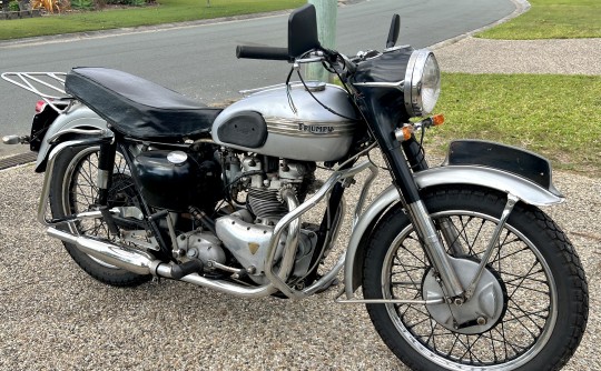 1955 Triumph Tiger 100