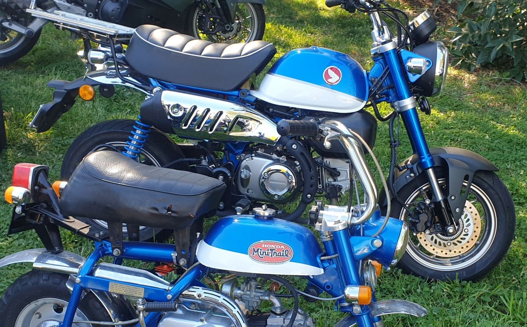 2020 Honda Monkey Z125