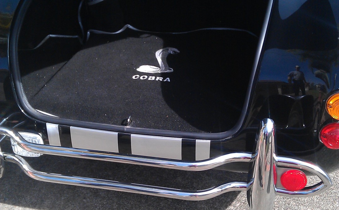 MY COBRA IS UP FOR SALE