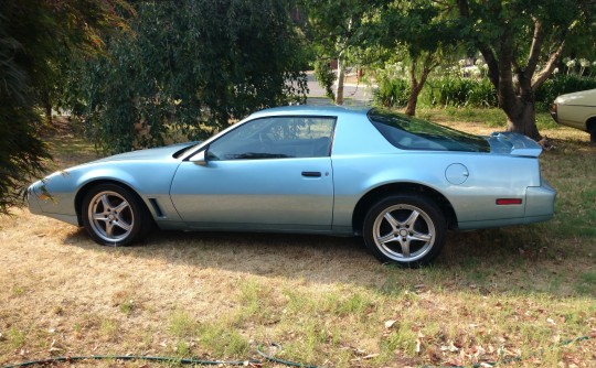 1982 Pontiac Firebird Transam