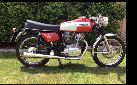 1968 Ducati Mark 3