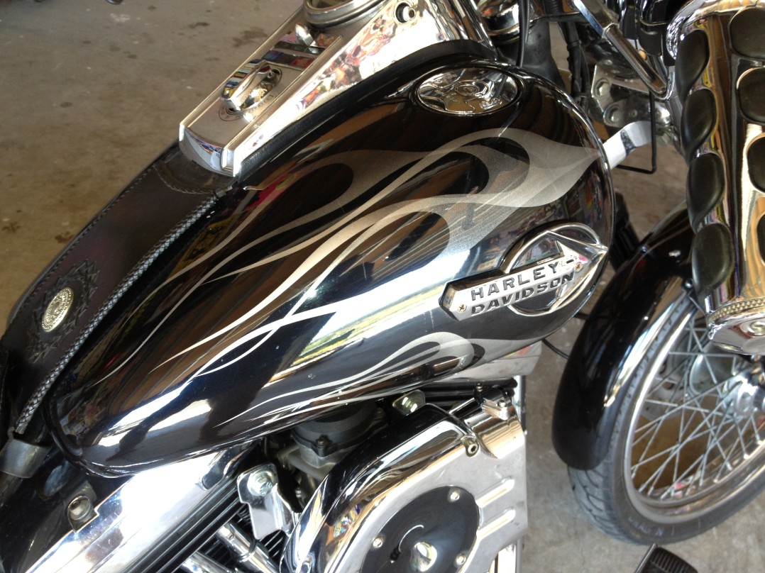 1988 Harley-Davidson Custom Softail
