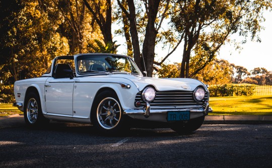 1957 Triumph TR5