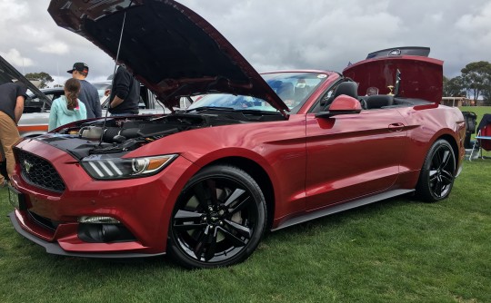 2016 Ford S550 Mustang 2.3L Turbo Automatic (Ruby Red)