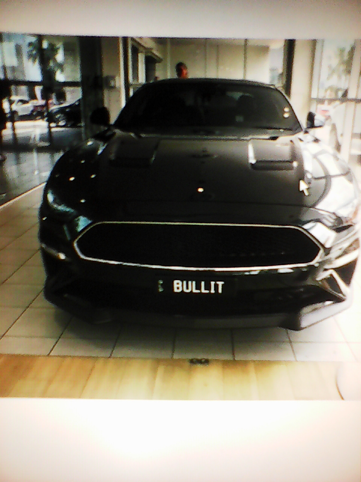 2019 Ford Mustang BULLITT - ClassicsCollectibles - Shannons Club