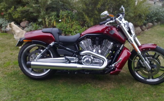 2010 Harley-Davidson VRSCF