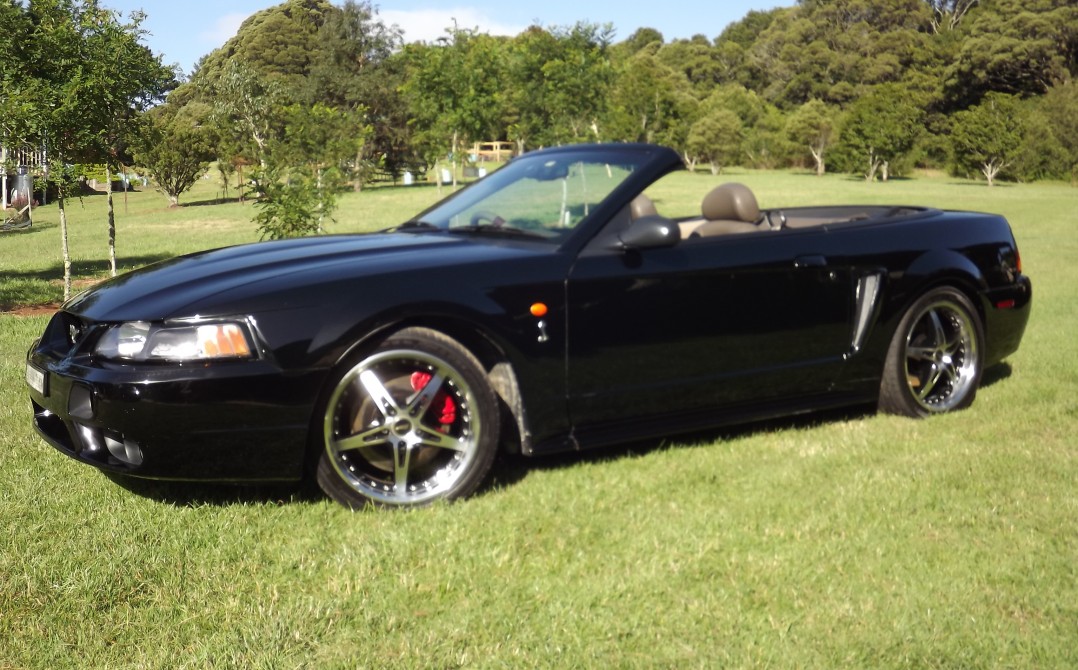 2001 Ford MUSTANG COBRA