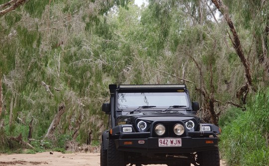 2005 Jeep WRANGLER GOLDEN EAGLE