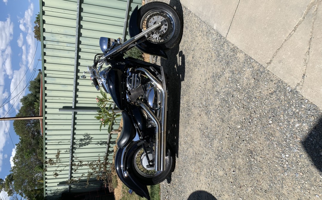 2008 Suzuki 805cc VL800 (BOULEVARD C50)
