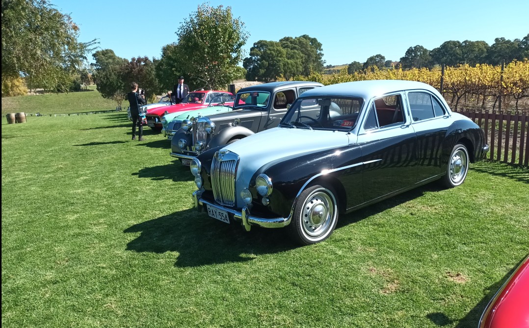 1954 MG Magnette
