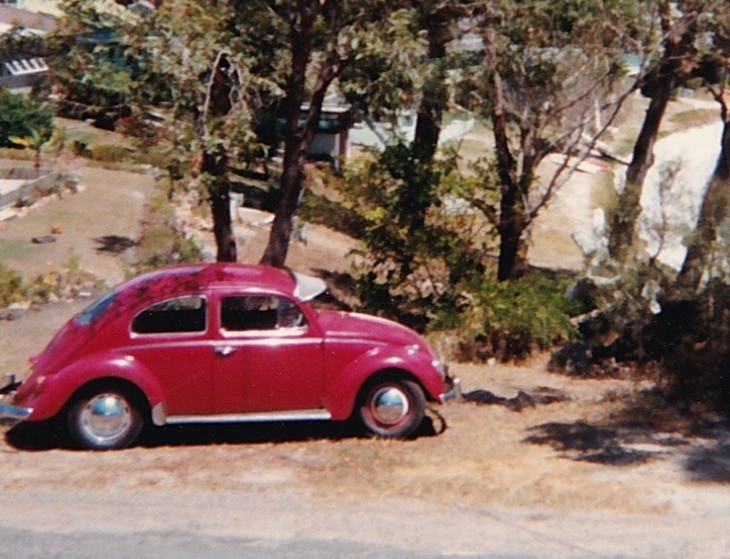 1966 Volkswagen beetle