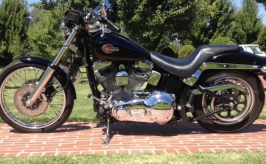 2001 Harley-Davidson fxst