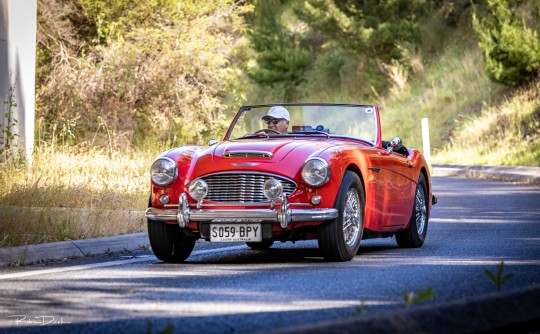 1960 Austin Healey BN7