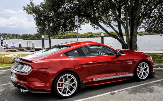 2020 Shelby Mustang SC GT