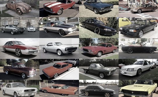 Members Rides
