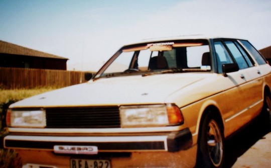 1981 Datsun Bluebird Wagon
