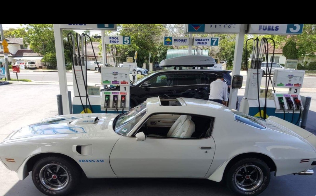 1974 Pontiac FIREBIRD TRANS AM