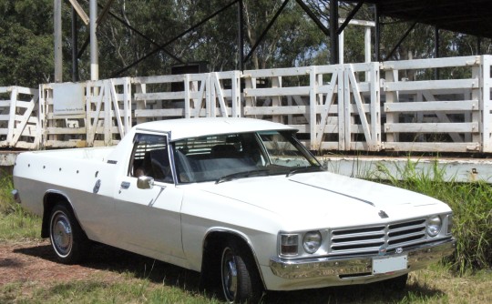 1980 Holden Wb