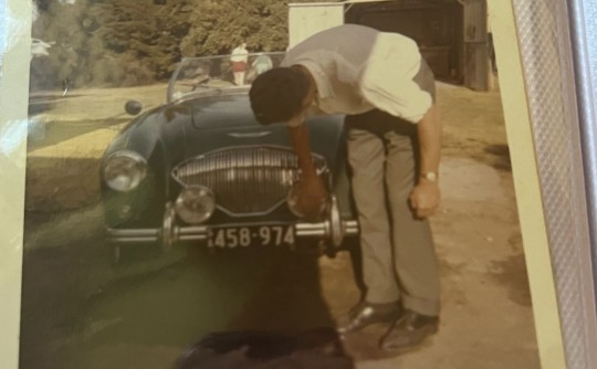 1954 Austin Healey 100