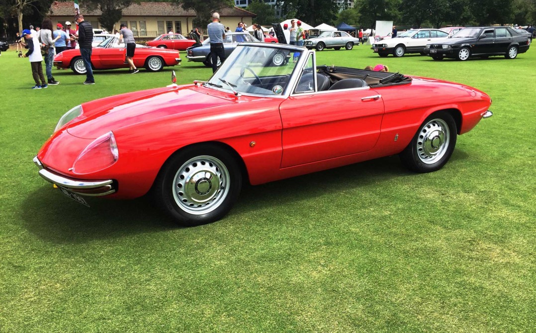 1967 Alfa Romeo SPIDER DUETTO