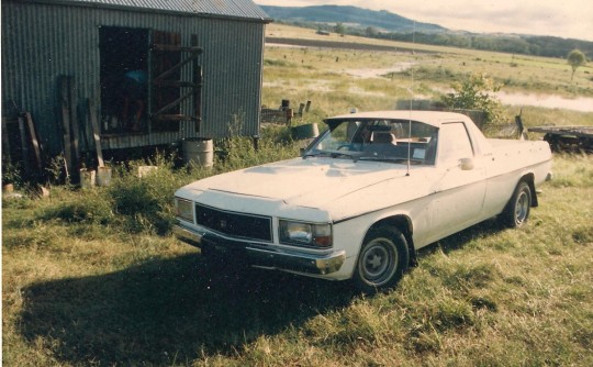 1981 Holden WB Ute Restoration