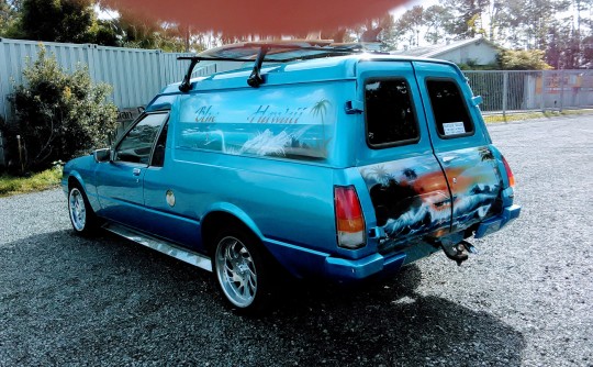 1990 Ford XF Panel Van
